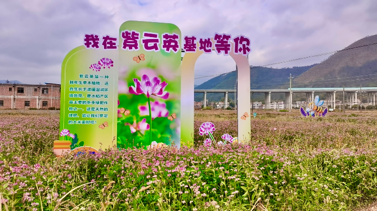 圖片2.jpg